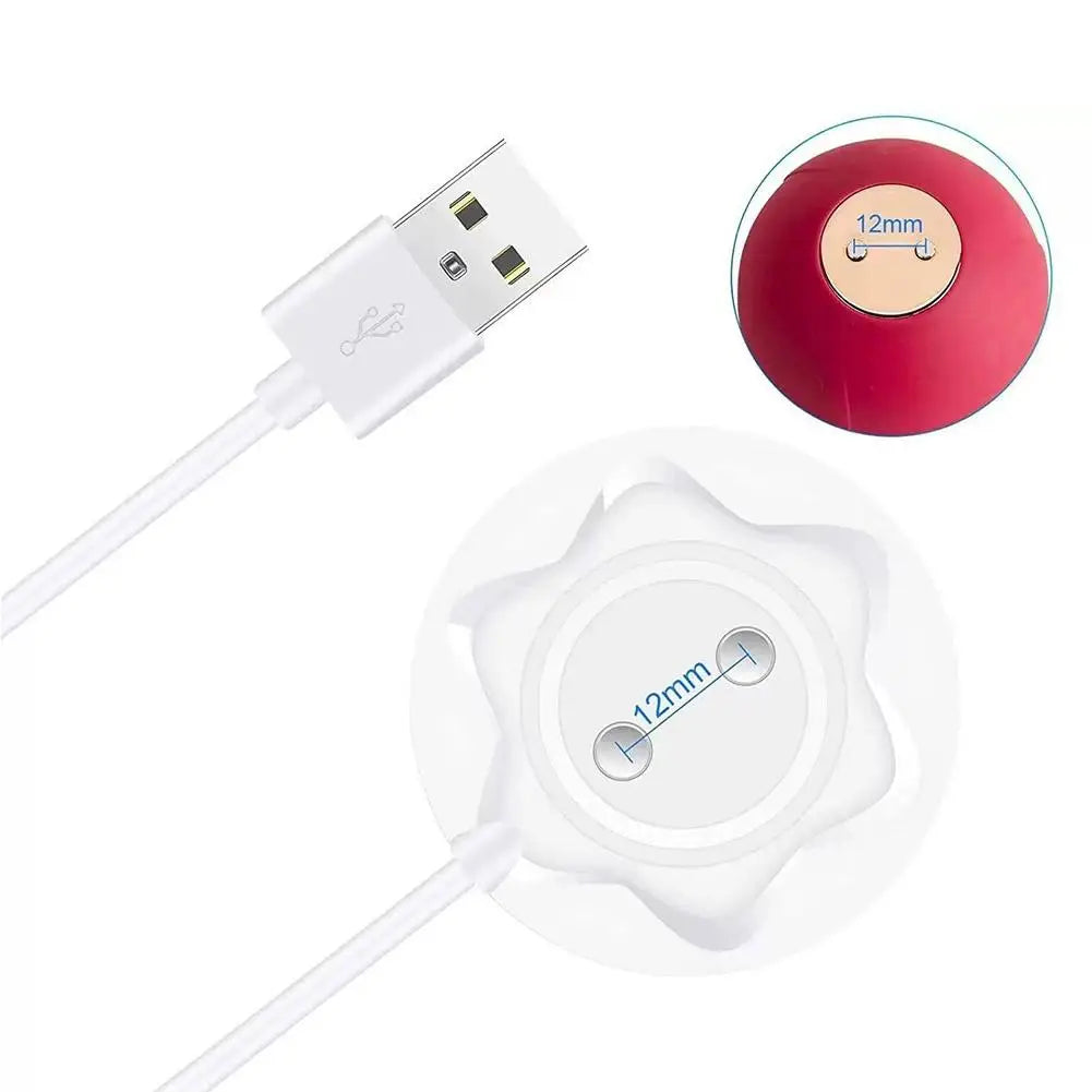 Replacement for Rose Toy Charger