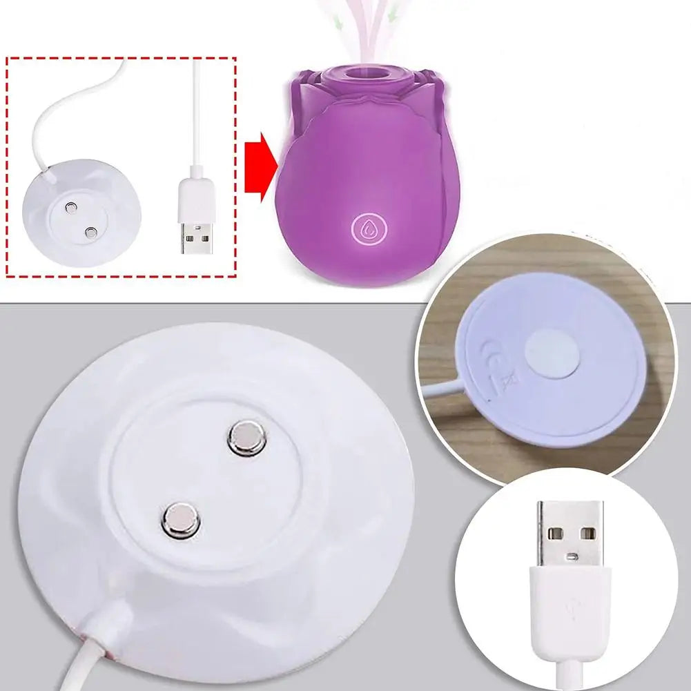 Replacement for Rose Toy Charger